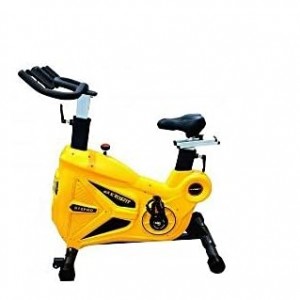 Spin Bike KF-S12